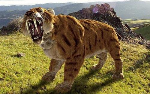 Saber-Tooth-Tiger.jpg