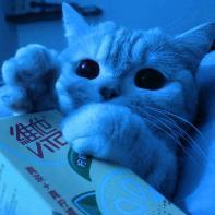 ʜᴇɴʀʏ ᴅᴀʀᴋɴᴇss