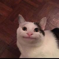 Meow Tanaka