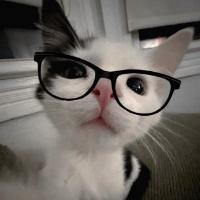 ᴍᴀʀʟᴇɴ ʜᴏʀɪᴍɪʏᴀ