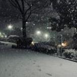 Тара Мейхер