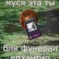фунерал епхантио офишиал